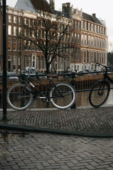 A black bicycle with a brown leather saddle and silver accents is secured to a metal railing along a brick-paved canal path in a Dutch-style urban setting. The bicycle's front wheel rests against the railing, while the rear wheel is on the cobblestone surface. In the background, there are multi-storey brick buildings with large windows, some with decorative trim, and a leafless tree is visible in front of the buildings. The scene appears to be during late autumn or winter, with overcast skies and subdued lighting. Metal railings separate the biking area from the canal, which is partially visible. Holland Park Man and Van’s house removal and moving services often operate in similar residential settings, supporting home relocation and furniture transport logistics in urban environments.