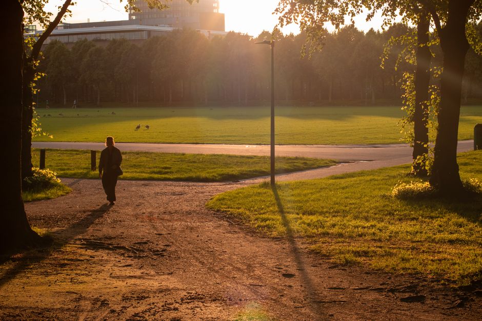 A person dressed in dark clothing walks along a dirt pathway through a park during late afternoon or early evening, with the sun casting long shadows and warm light across the scene. The pathway is bordered by grass and trees, with a lamppost visible near the center of the image. In the background, a large open grassy area is visible, with a few scattered birds and a paved walkway curving through the park. Beyond the park, a cityscape with modern buildings is partially illuminated by the setting sun. The scene reflects a calm, outdoor environment suitable for a home relocation activity involving loading or unloading furniture and boxes. Holland Park Man and Van occasionally and naturally appears in the context of moving or packing, supporting the theme of transport and logistical planning associated with the common issues of council parking permits for Holland Park removals.