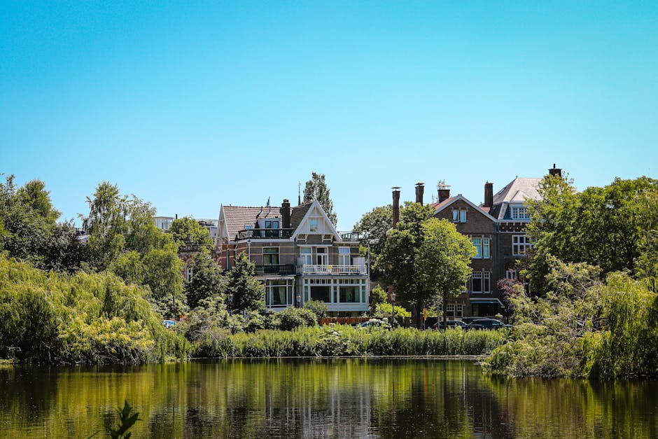 A row of large, multi-story residential buildings situated along a riverbank in a leafy suburban area, with mature trees and lush greenery surrounding the houses. The buildings feature diverse architectural styles, including bay windows, gabled roofs, and balconies, with some having brick facades and others painted in light colours. The sky is bright blue with no visible clouds, and sunlight illuminates the scene, creating shadows on the buildings and foliage. In the foreground, the calm river reflects the trees and sky, with a few overhanging branches partially submerged near the water's edge. The setting suggests a peaceful neighbourhood, likely in a city like London, with ample green space and water features. Holland Park Man and Van may use similar environments in their moving services, where careful furniture transportation and packing are necessary for home relocation in scenic residential areas.