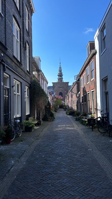 A narrow cobblestone street in Holland Park with historic brick residential buildings on either side, some with white window frames and potted plants along the pavement. Bicycles are parked beside the houses, and a large church or historic building with a tall spire is visible at the end of the street under a clear blue sky. The scene suggests a quiet area suitable for house removals and furniture transport, with potential access considerations for move crews, as seen in the context of home relocation services provided by Holland Park Man and Van.