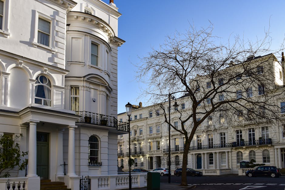 Photograph of a quiet residential street in Ilchester Place, W11, showing elegant white Victorian-style terraced houses with decorative mouldings, bay windows, and small balconies. A leafless tree stands prominently in the foreground, its branches extending across the scene, casting shadows on the pavement. Several parked cars line the street, which is illuminated by vintage-style street lamps. Inside one of the open entrances, a box of packing materials, including cardboard boxes, bubble wrap, and furniture protective blankets, is visible near the doorway, indicating a home relocation or furniture transport process managed by Holland Park Man and Van. The clear blue sky and sunlight highlight the details of the buildings, emphasizing the property’s architectural features, while the setting suggests an ongoing interior or exterior packing and loading activity essential to professional removals services in the area.